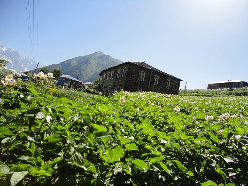 Caucasus Guesthouse Ushguli Esterno foto